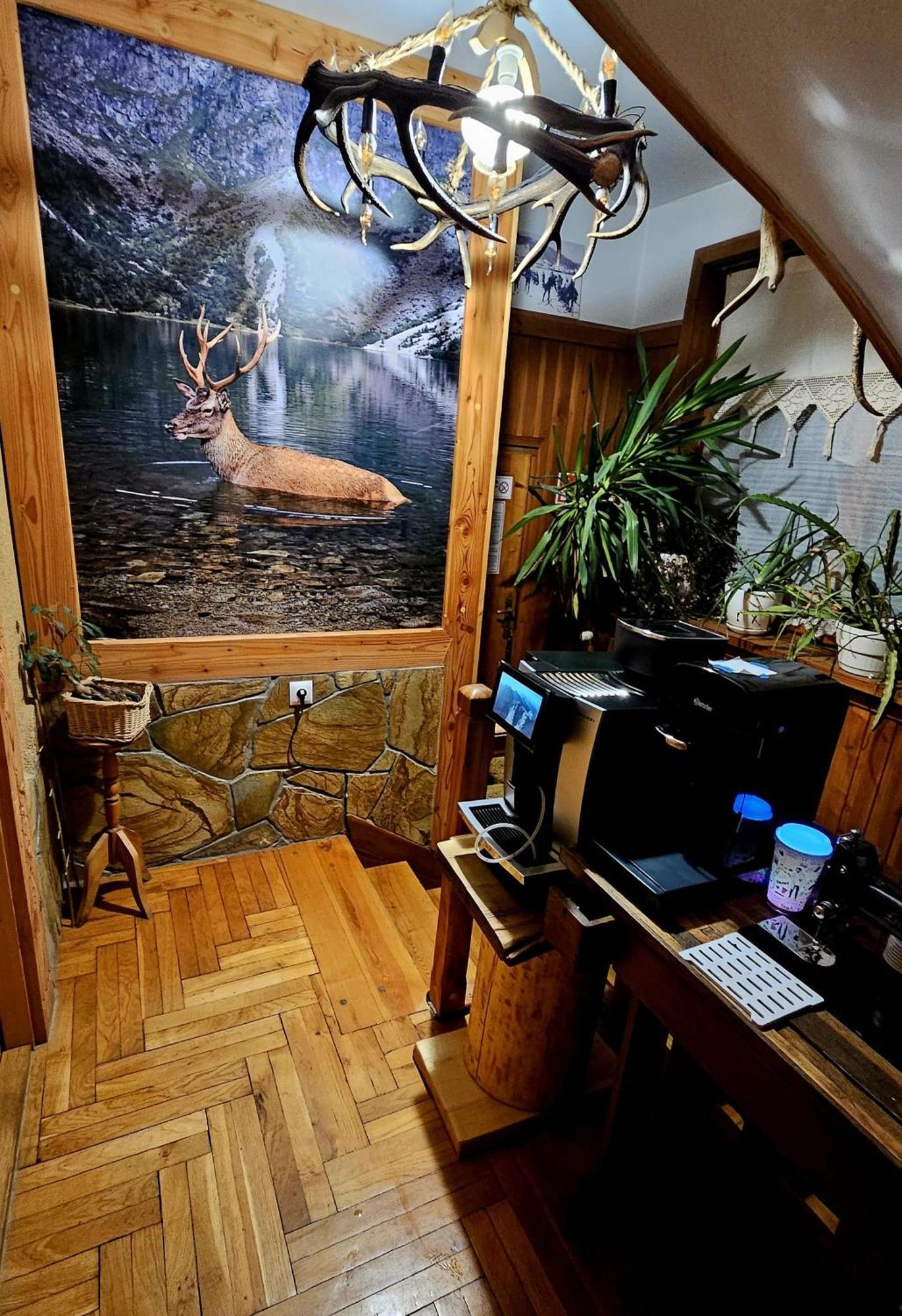 Apartament Rykowisko Zakopane Luaran gambar
